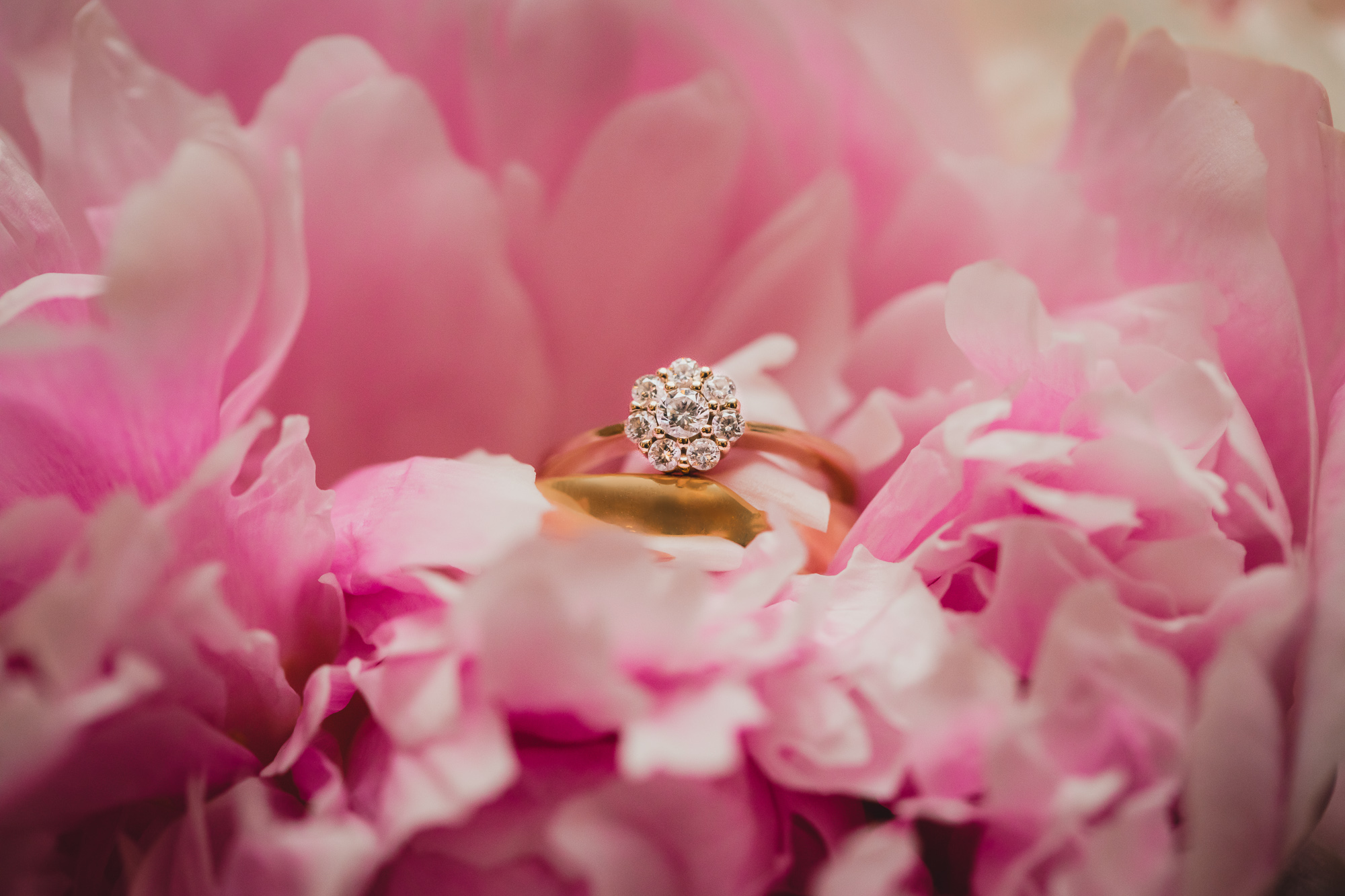 Hochzeit Jordans Untermühle Mainzer Dom-38